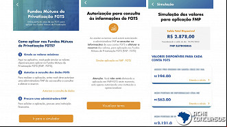 Simulação mostra valores disponíveis para aplicação no FMP-FGTS. Simulação mostra valores disponíveis para aplicação no FMP-FGTS.