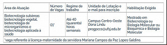 Concurso UFSJ-MG: Professor Substituto