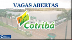 Cotribá está com vagas abertas em 2023