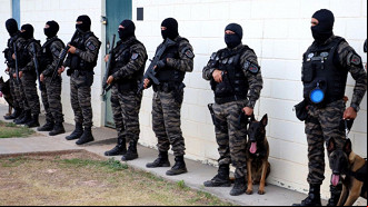 Núcleo de Operação com Cães da Polícia Penal do Tocantins que atua dentro e fora do Sistema Penal - Foto: Divulgação. Núcleo de Operação com Cães da Polícia Penal do Tocantins que atua dentro e fora do Sistema Penal - Foto: Divulgação.