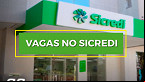 Sicredi tem mais de 900 vagas em Novembro em formato híbrido e também remoto