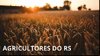 Governo perdoa dívidas de Agricultores do RS afetados pela enchente