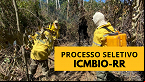 ICMBio abre vagas para Chefe de Brigada em Roraima; veja como concorrer