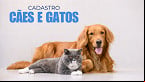 Senado aprova criação de Cadastro Nacional de animais domésticos