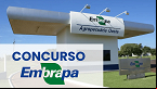 Concurso Embrapa tem 279.701 inscritos na disputa; veja a concorrência