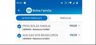 Aplicativo do Bolsa Família mostra o valor do Auxílio-Gás de Abril - Foto: Redes Sociais