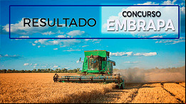 Resultado do concurso EMBRAPA 2025 é publicado pelo Cebraspe; veja Resultado do concurso EMBRAPA 2025 é publicado pelo Cebraspe; veja